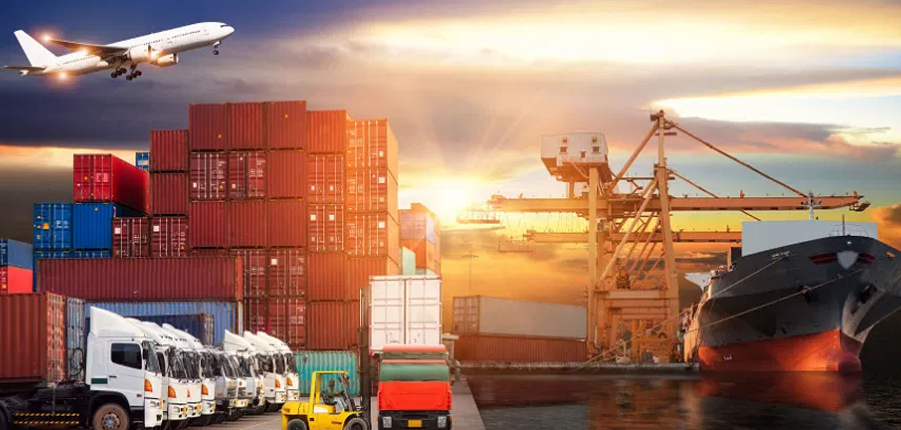 transportation services in nellore